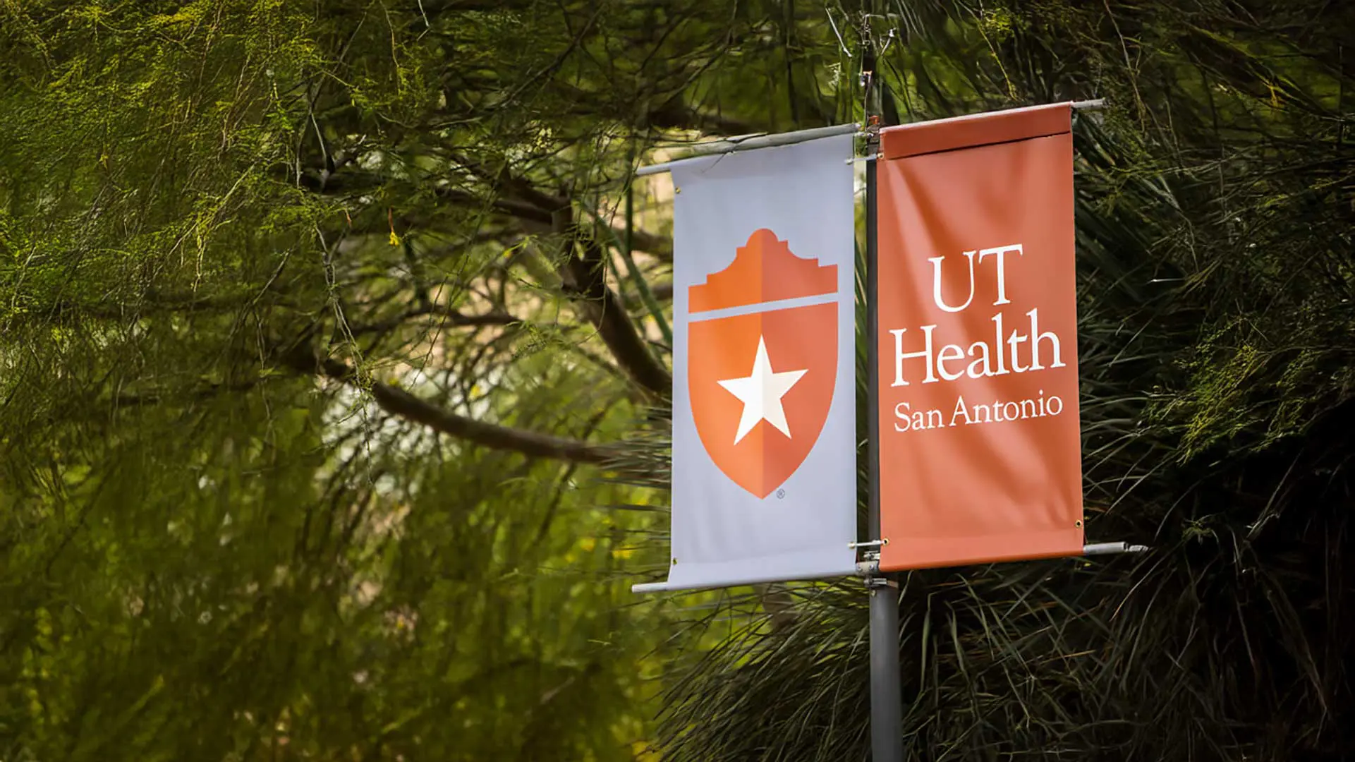 UT Health San Antonio banner on post